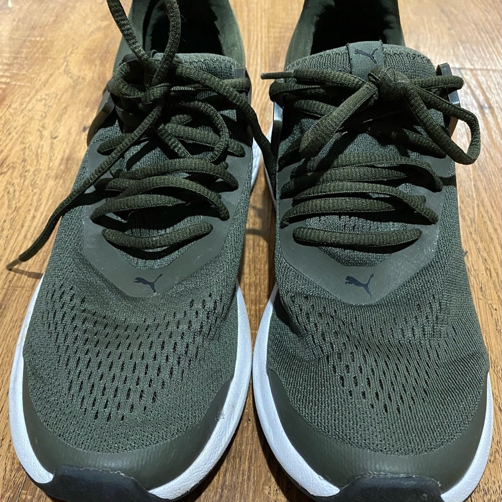 Puma